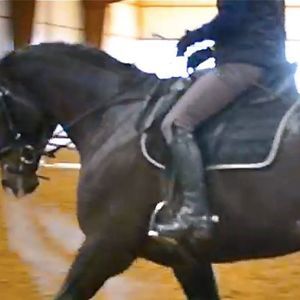 Meet your Posher, Christina